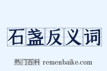 石盏反义词是什么意思的图片